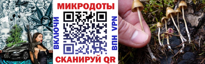 Псилоцибиновые грибы Magic Shrooms  купить   Сургут 